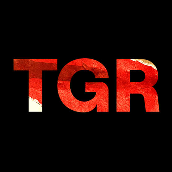 TheGamingRevolution